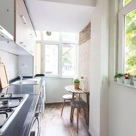 Apartament Pretty Corner Flat With Abundant Light In Kadikoy *